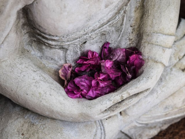 About Grove Wellness