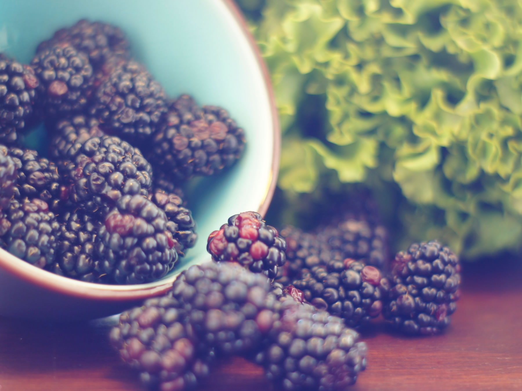 Holistic nutrition from Grove Wellness